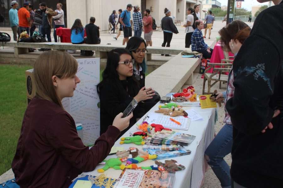 UTSA Animal Rights Club members interviewing students on their knowledge of veganism. Ben Shirani/The Paisano