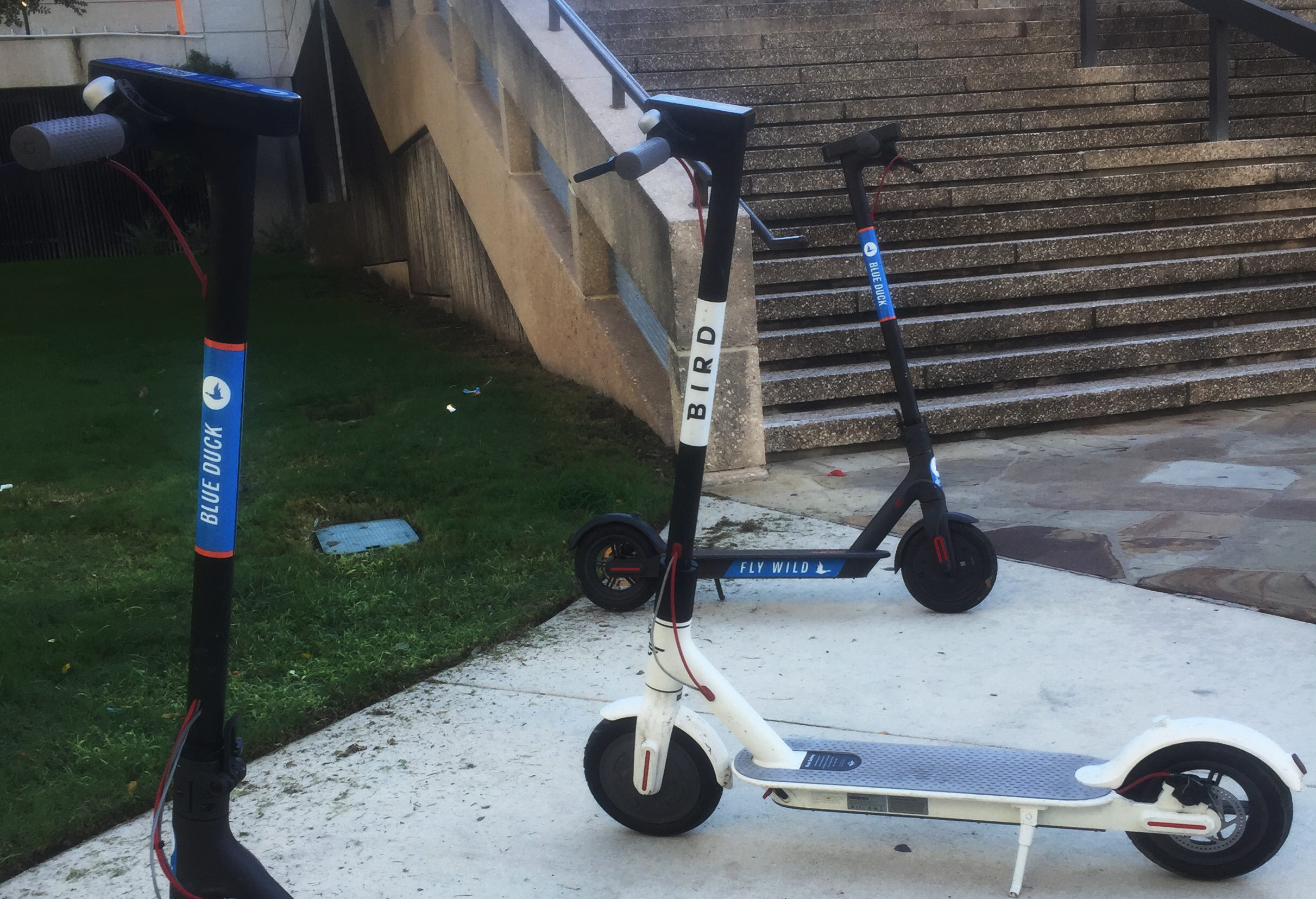 Bird Scooter Accidents Reported In San Antonio Community - The Paisano