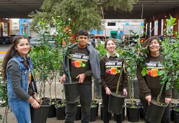 Plant-lovers enjoy the tree adoption with friends and loved ones. The
event took place on Jan. 25, 2020.