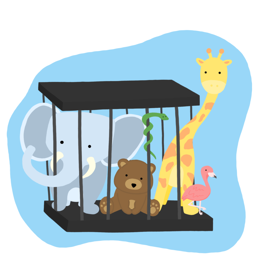 Are zoos really saving animals? - The Paisano