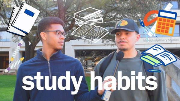 Paisano Poll: Student Study Habits