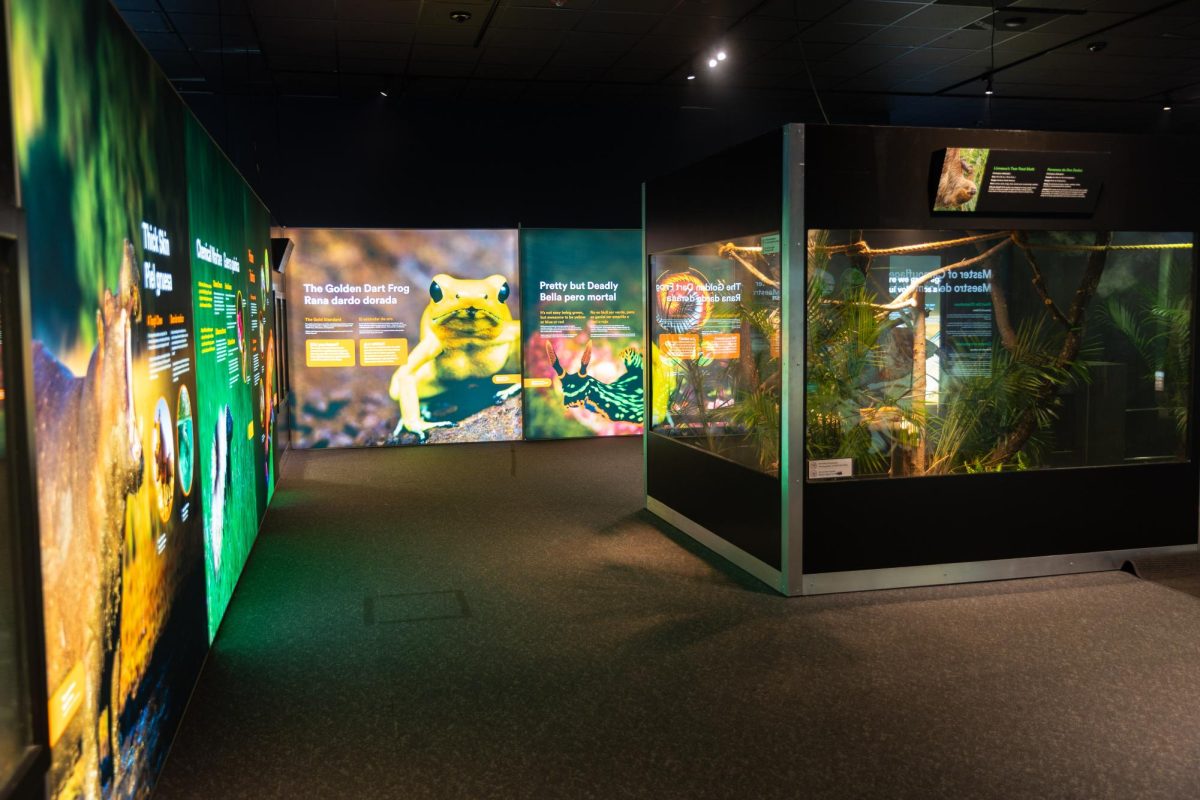 Explore ‘Animal Defenses’ at the Witte Museum