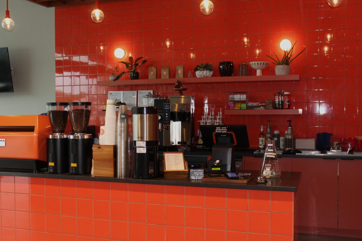 Emily Strayer makes lame chore luxurious at Soap Laundry Lounge